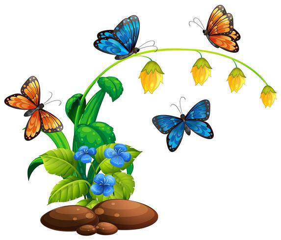 Schmetterlinge fliegen um die Pflanze vektor
