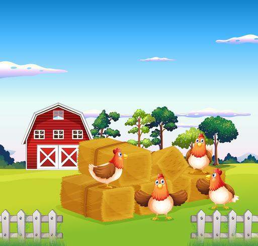 Fyra kycklingar i högen med en ladugård på baksidan vektor