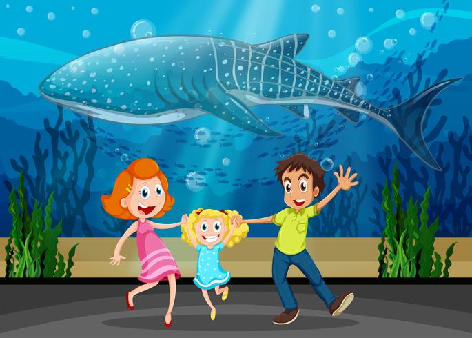 Familie und Tötungswal im Aquarium vektor