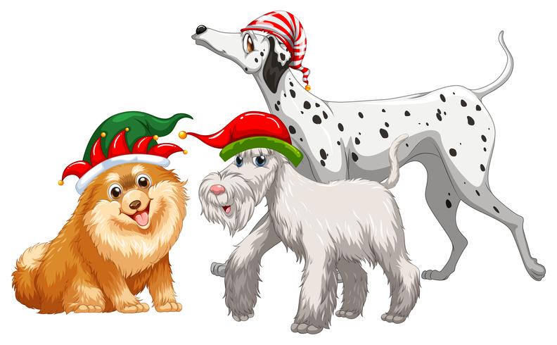 Weihnachtsmotiv mit drei Hunden im Partyhut vektor