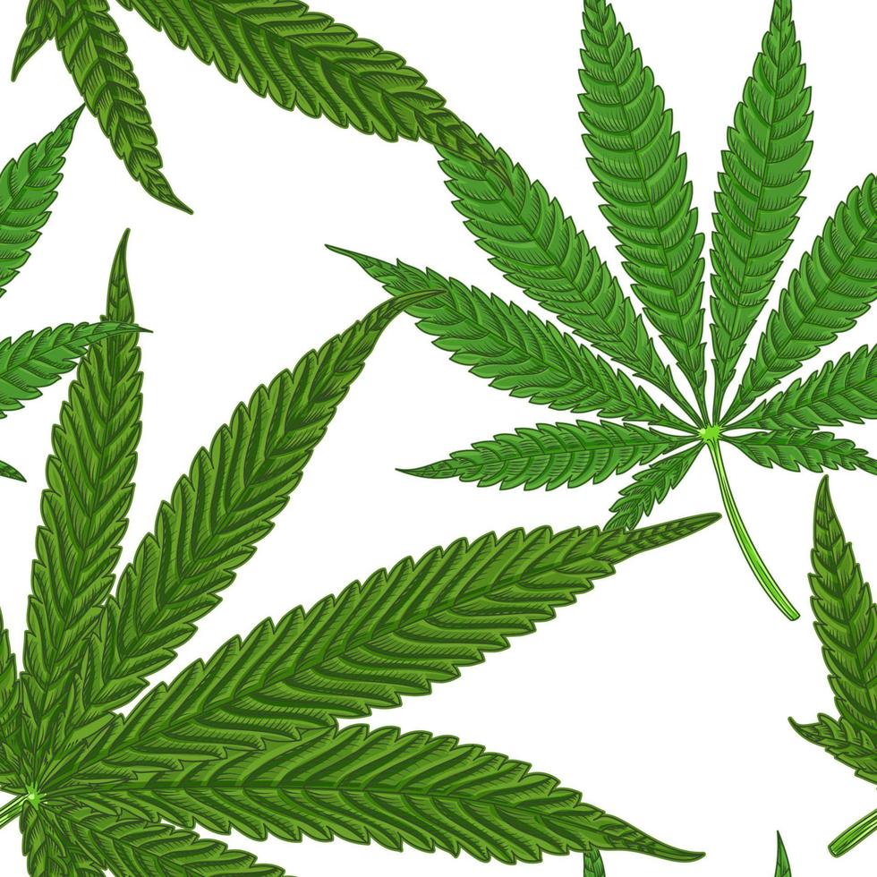 medicinsk cannabis marijuana niospetsigt blad, handritad illustration med sömlöst mönster vektor