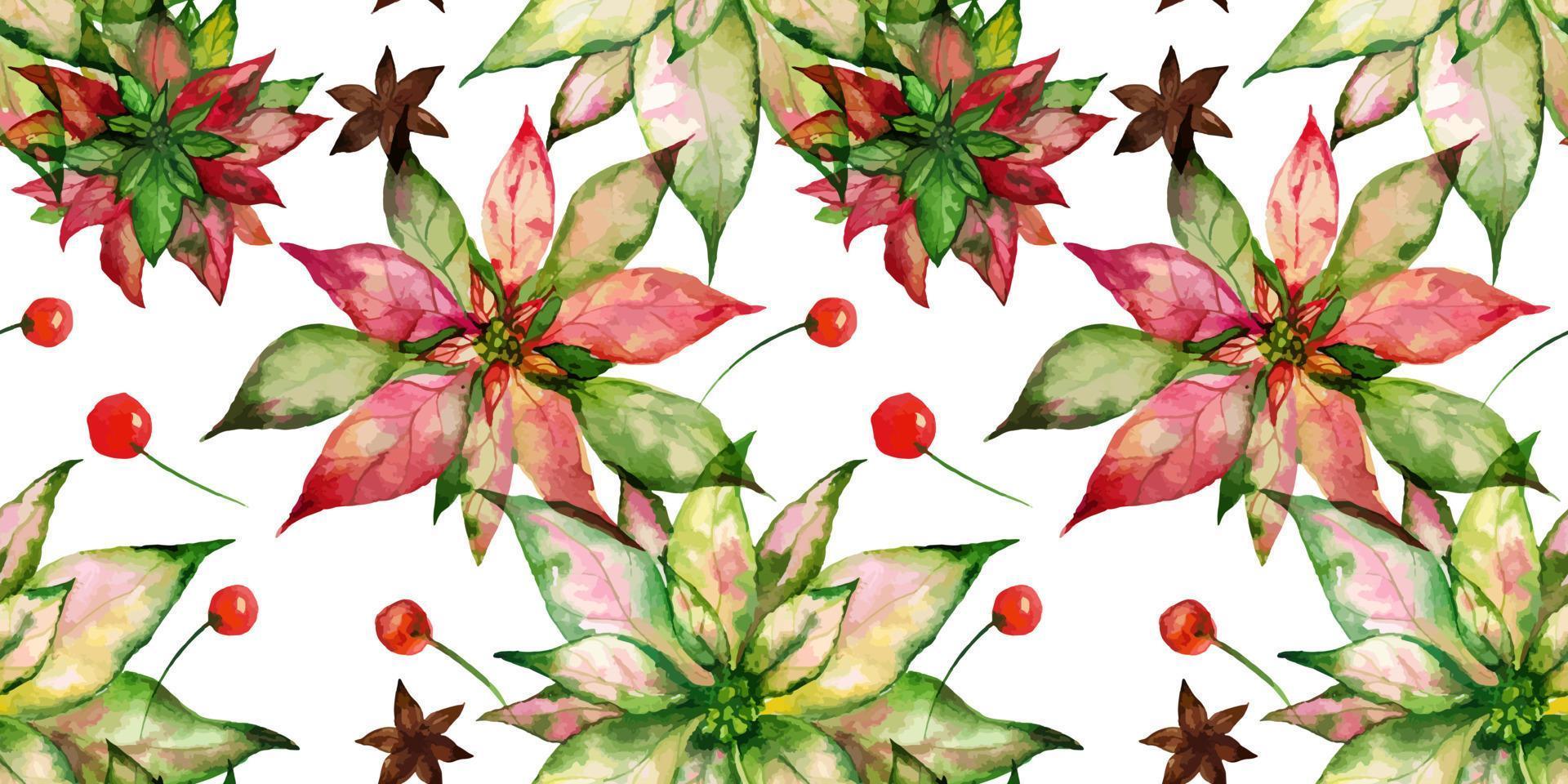 Weihnachten verfolgt Aquarell nahtlose Blümchenmuster auf weißem Hintergrund. Weihnachtsstern und Tannenbaum und Winterbeeren. Dekoration für Weihnachten und Neujahr Textilien und Geschenkpapier und Grußkarten vektor