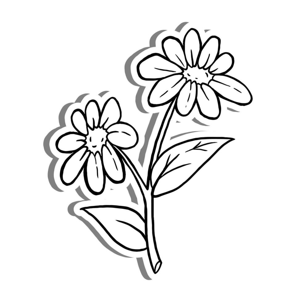 svart linje två daisy blomma på vit silhuett och grå skugga. hand dragen tecknad serie stil. vektor illustration för dekorera, färg och några design.