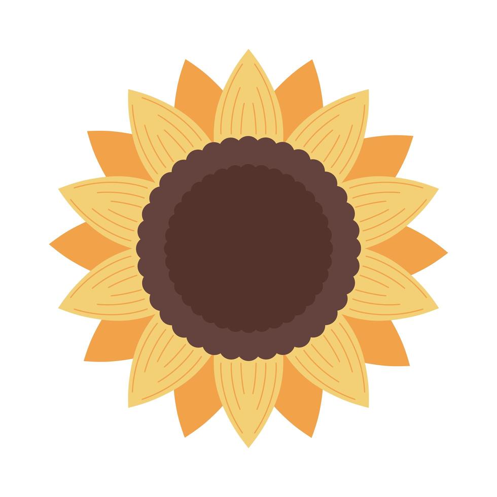 Sonnenblumen-Natur-Symbol vektor