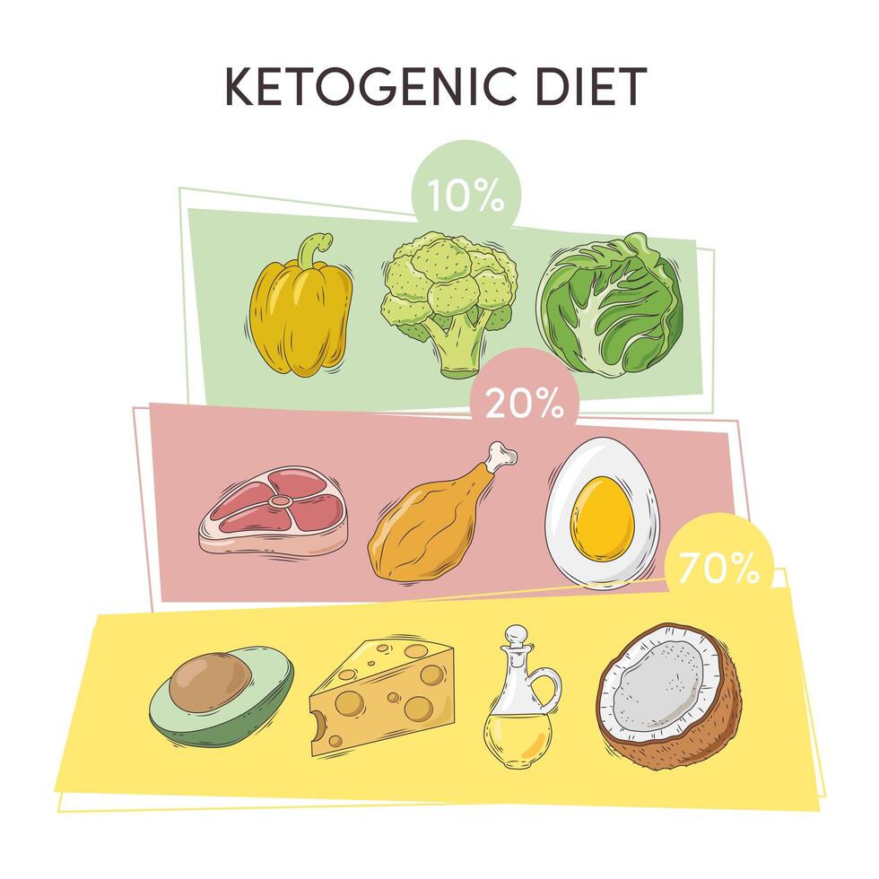 Infodiagramm zur ketogenen Ernährung vektor