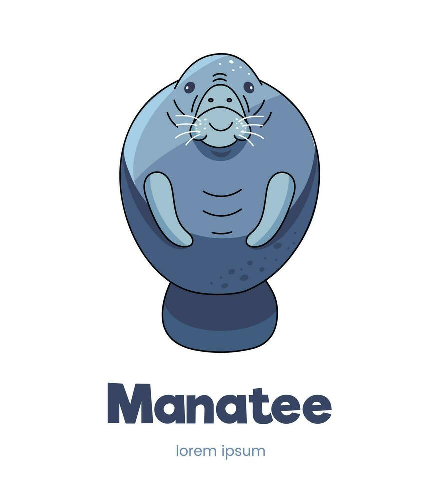 manatee vektor platt illustration av hav djur-