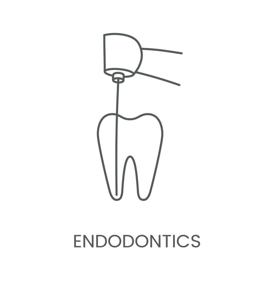 linjär ikon endodonti. vektor illustration för dental klinik