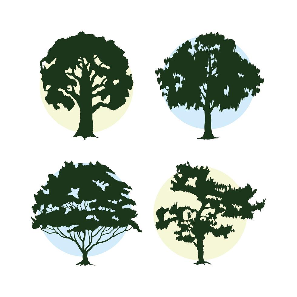 Bündel von vier Bäumen Pflanzen Wald Silhouetten Symbole vektor