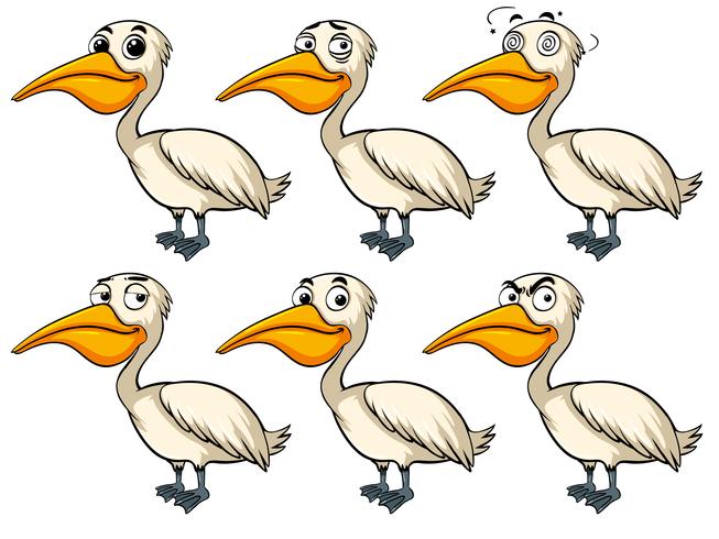 Pelican fågel med olika känslor vektor