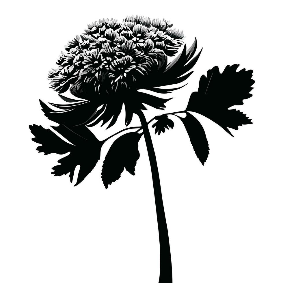 schön schwarz und Weiß Vektor botanisch Illustration mit dekorativ Blätter.