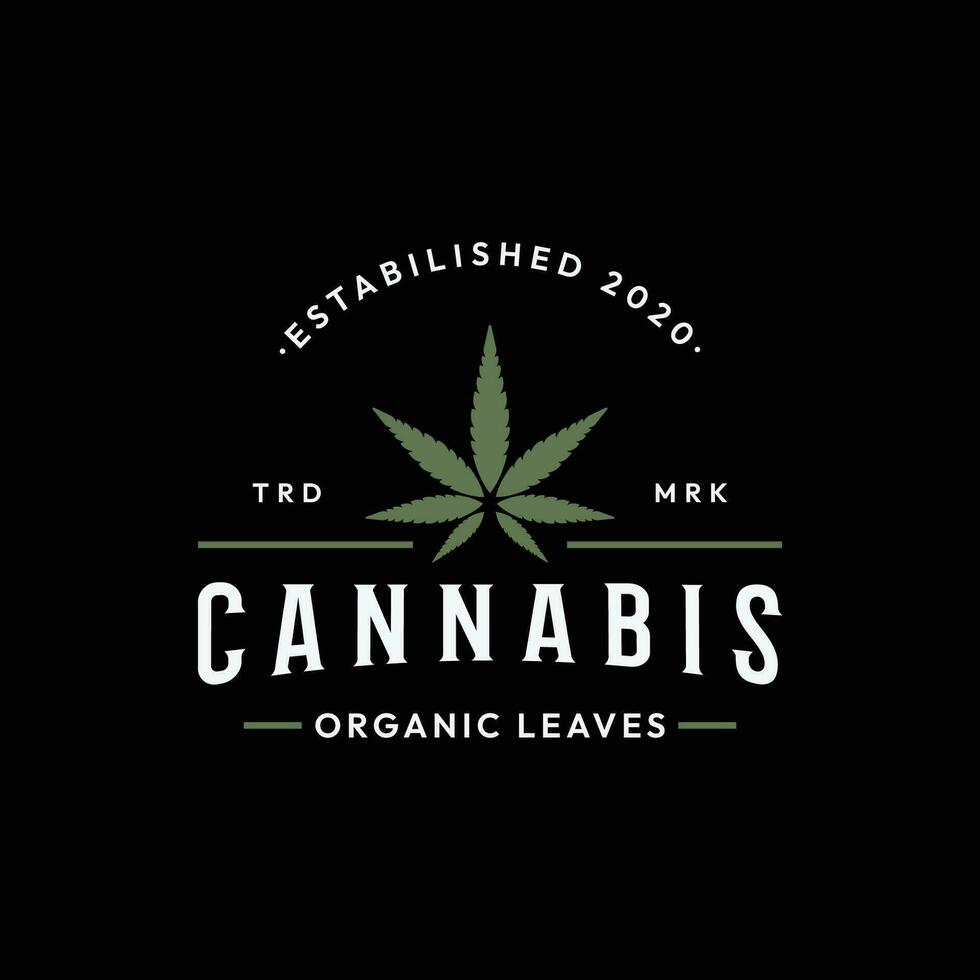 Prämie Qualität Cannabis organisch Pflanze Logo retro Jahrgang Vorlage Design. vektor