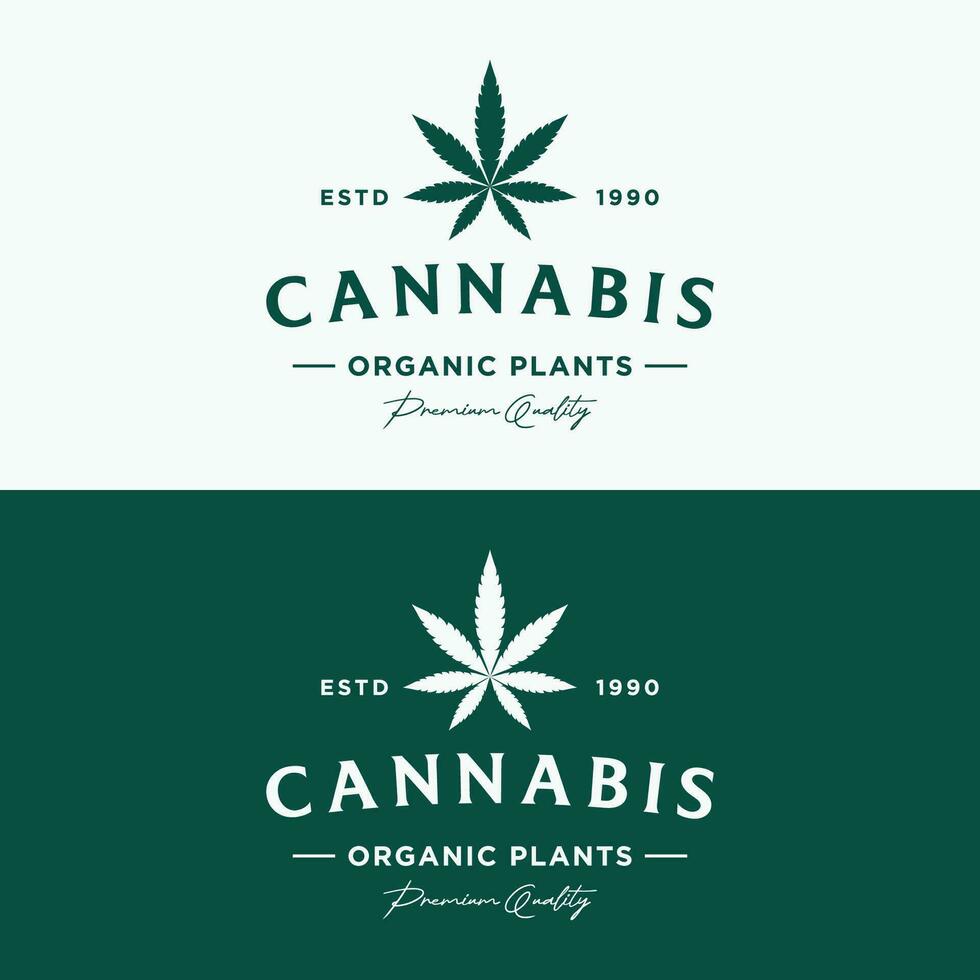 premie kvalitet cannabis organisk växt logotyp retro årgång mall design. vektor