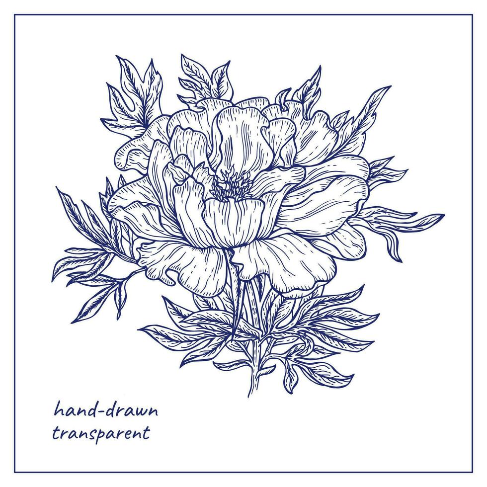 hand dragen pion blomma för design, dekoration, färg sida. svartvit illustration av blomning pion. vektor