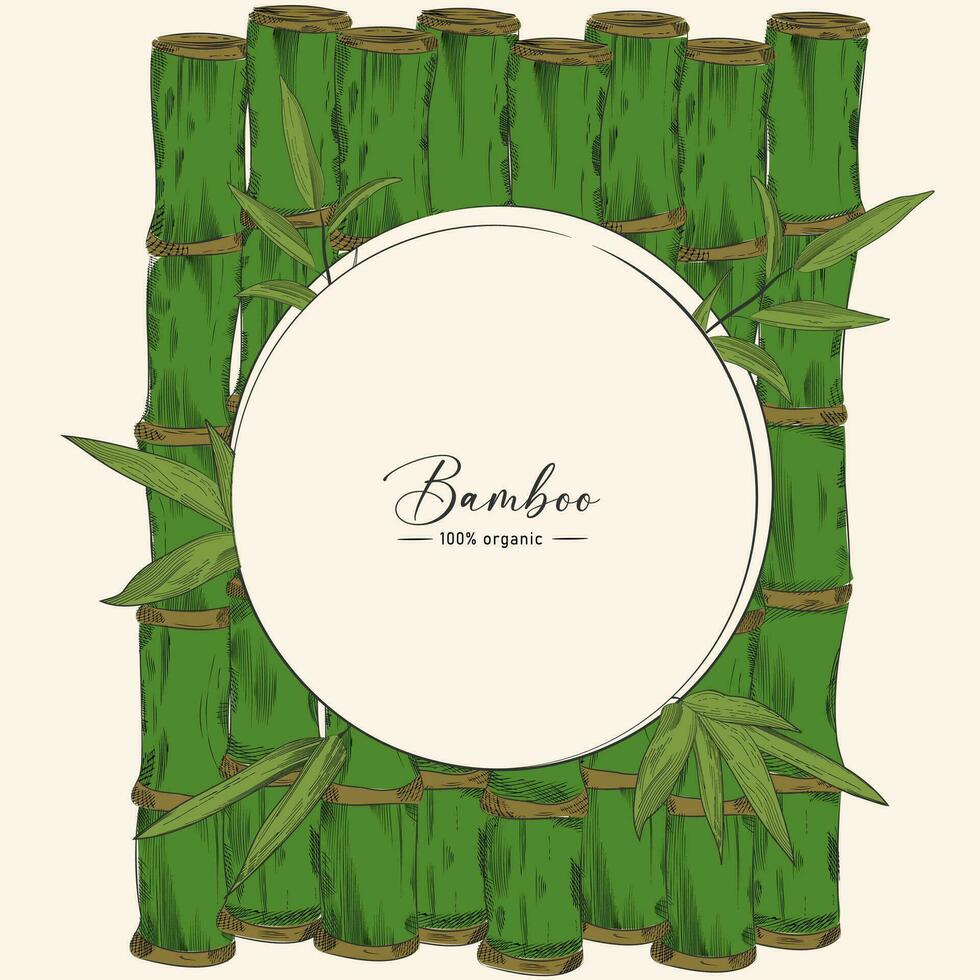 Hintergrund mit Bambus vektor