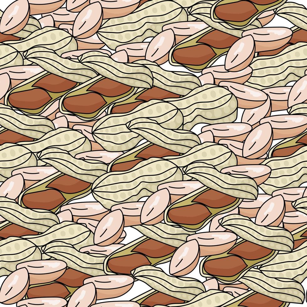 Erdnüsse nahtlose Muster geschält und in Schoten, beliebter Bohnen-Pflanzen-Snack vektor