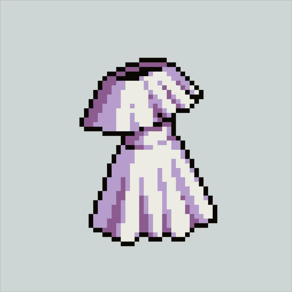 Pixel Kunst Illustration Frau Kleid. pixelig weiblich Kleid. Frau weiblich Mode Kleid pixelig zum das Pixel Kunst Spiel und Symbol zum Webseite und Video Spiel. alt Schule retro. vektor