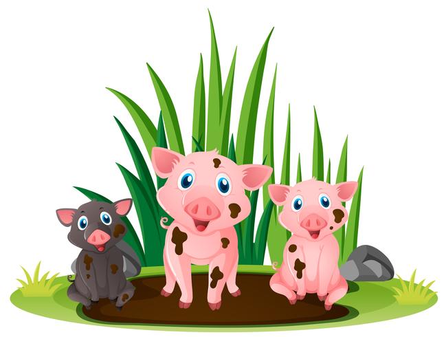 Drei kleine Schweine, die in der schlammigen Pfütze spielen vektor