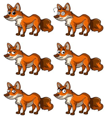 Fuchs mit verschiedenen Gesichtsausdrücken vektor
