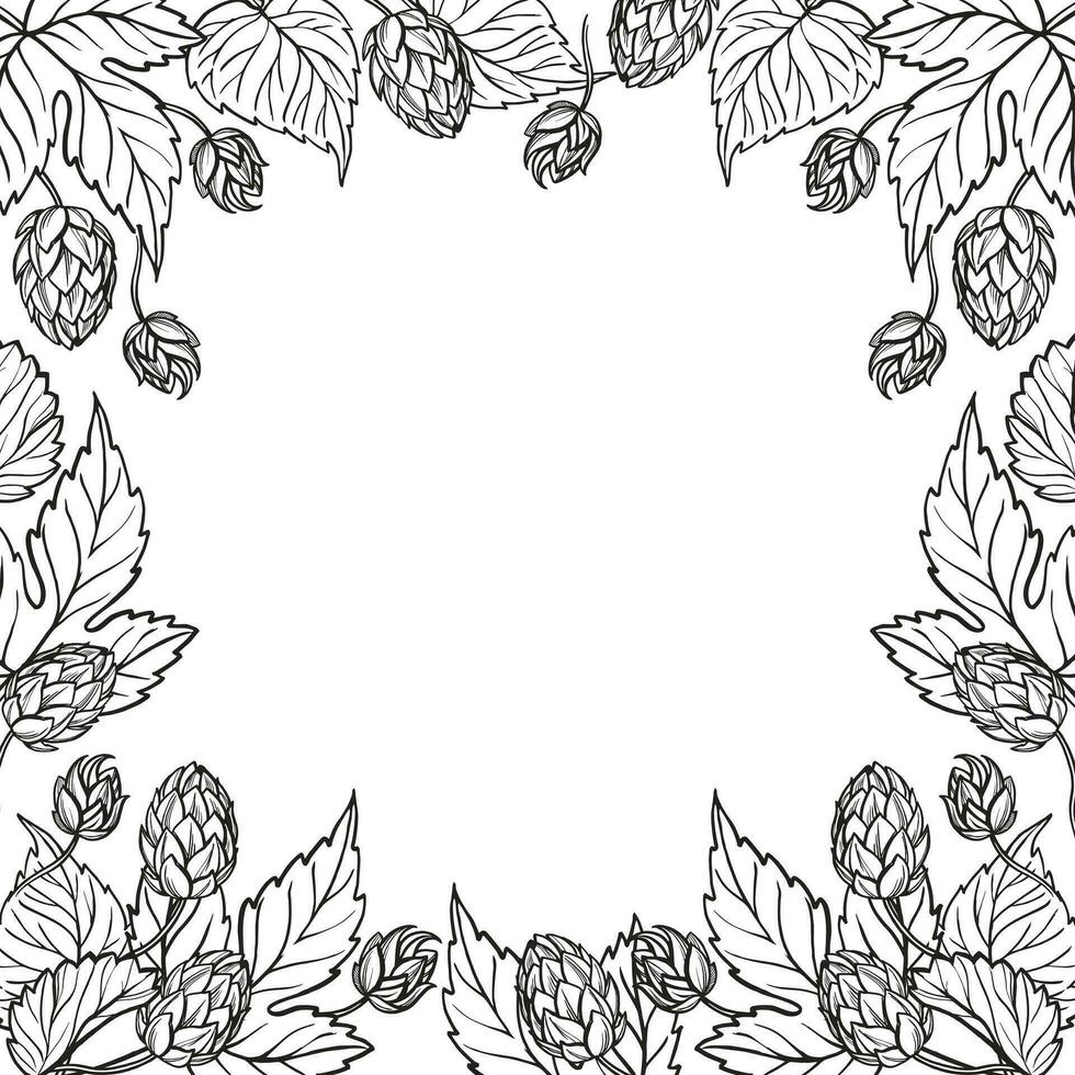 hand dragen vektor ram med hopp växt, löv och knoppar, hantverk öl Ingredienser, svart och vit illustration av gren humulus lupulus, inked illustration isolerat på vit bakgrund