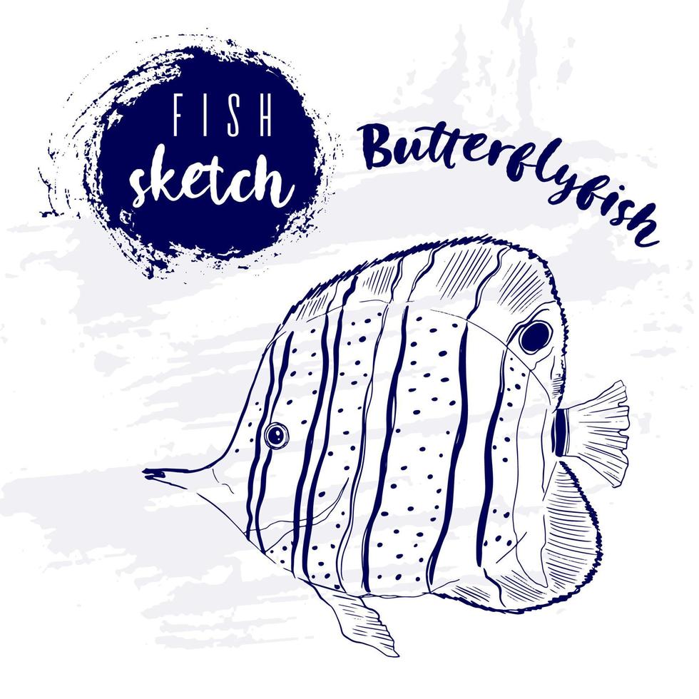 Vintage Tier Butterflyfish marine sketch.retro Linie style.hand gezeichnete Unterwasser.vector Illustration. vektor