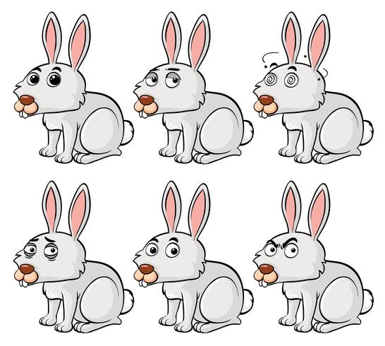 Vit kanin med olika känslor vektor
