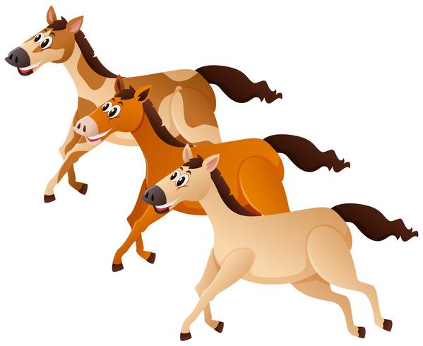 Drei Pferde laufen in Gruppe vektor