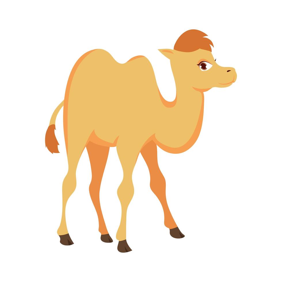 söt liten kamel vektor