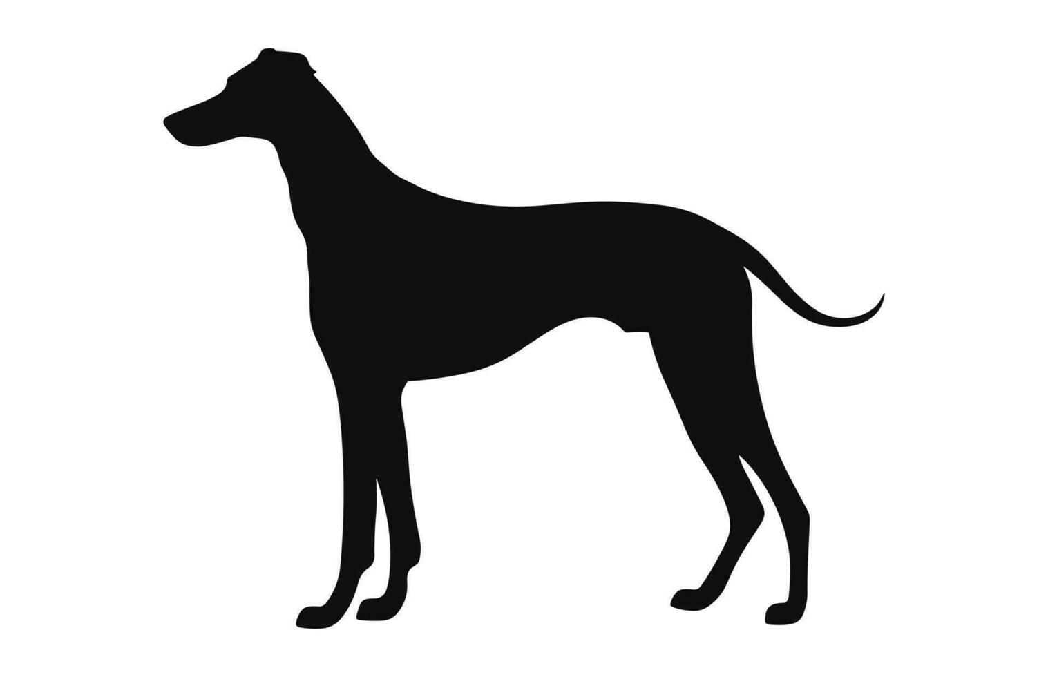 en vinthund hund svart silhuett vektor fri