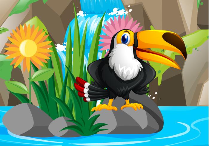 Tukanvogel am Wasserfall vektor