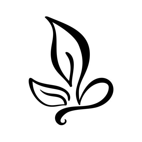 Svart bläck handgjord kalligrafi logotyp av blad ekologi vektor element. Illustration design för bröllop och Alla hjärtans dag, födelsedag hälsningskort och web, eco ikon