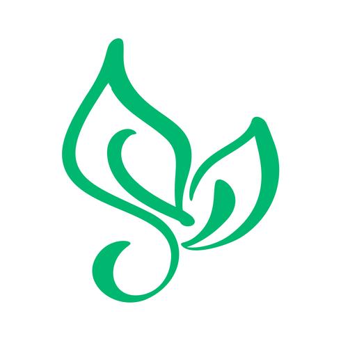 Logo av grönt blad av te. Ekologi naturelement vektor ikon gluten. Eco veganisk bio kalligrafi handritad illustration