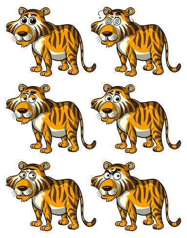 Tiger med olika ansiktsuttryck vektor