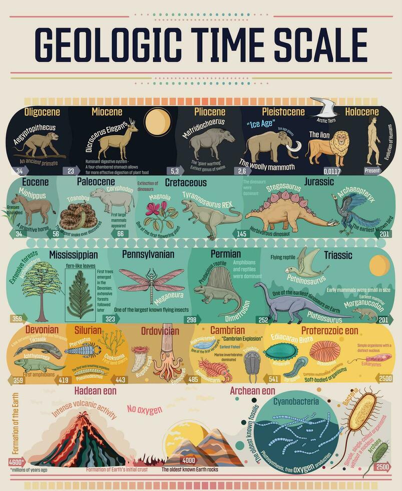 geologisch Zeit Rahmen bunt lehrreich Poster. vektor