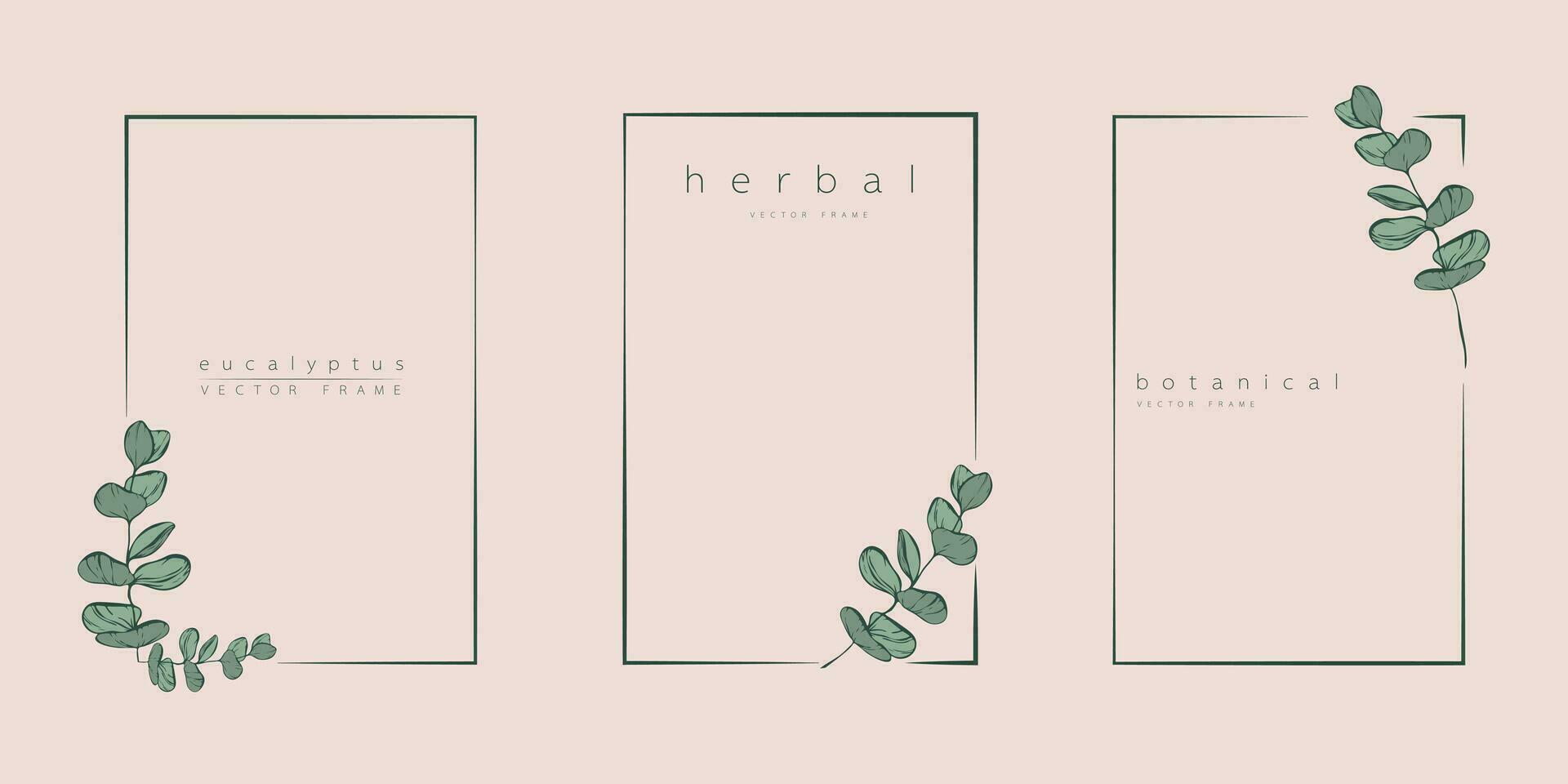 botanisk eukalyptus cirkel ram uppsättning. hand dragen runda linje gräns, löv och blommor för bröllop inbjudan och kort, logotyp design, social media och posters mall. elegant minimal vektor