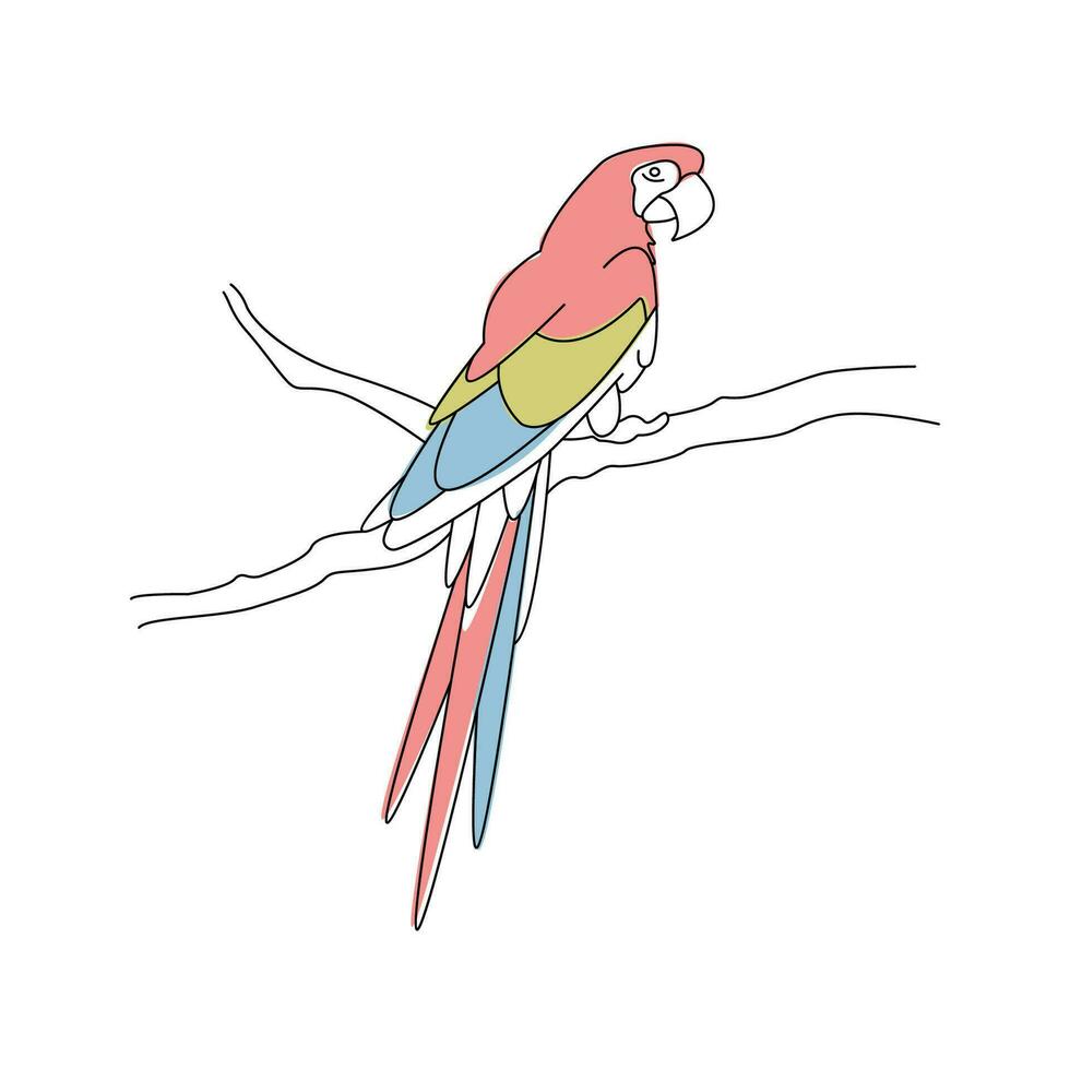 einfach linear Grafik Illustration mit ein Papagei auf ein Ast vektor