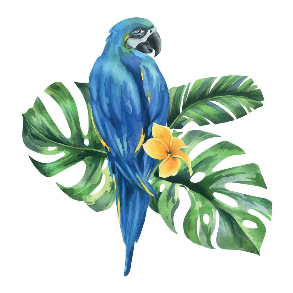 tropisk handflatan löv, monstera och blommor av plumeria, hibiskus, ljus saftig med blå-gul ara papegoja. hand dragen vattenfärg botanisk illustration. sammansättning isolerat från de bakgrund vektor