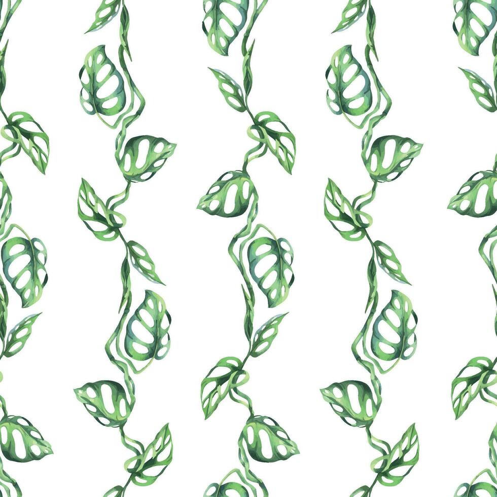 tropisk handflatan löv, monstera, lian, apa mask ljus saftig grön. hand dragen vattenfärg botanisk illustration. sömlös mönster på en vit bakgrund. vektor eps