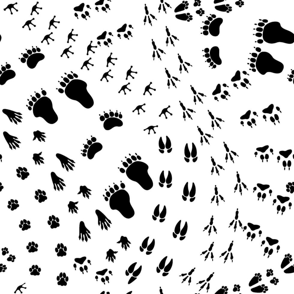 nahtlos Muster Tier Pfad. Textur mit wild Tiere Fußspuren, wiederholen Pfote verfolgen, folgenden Haustier Schiene. Bär Schritt, Fuchs drucken Fuß. Vektor Illustration