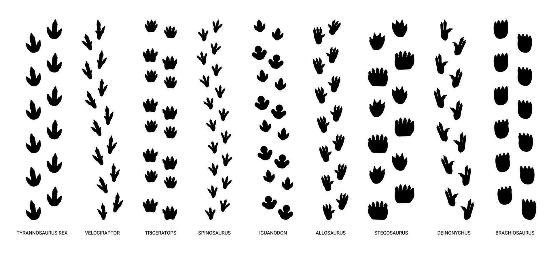 Schritt Spuren Dinosaurier Wanderwege. Dino Pfote Fußabdruck, wild uralt Tier, Raubtier Spur Schritt, Gehen Reptil Schritt, Eidechse Weg Füße, Silhouette Pfote druckt Vektor einstellen