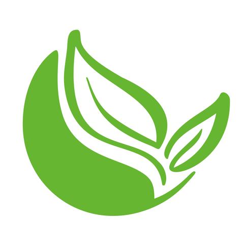 Logo des grünen Blattes des Tees. Ökologienaturelement-Vektorikone organisch. Biokalligraphiehand Eco-Vegans gezeichnete Illustration vektor