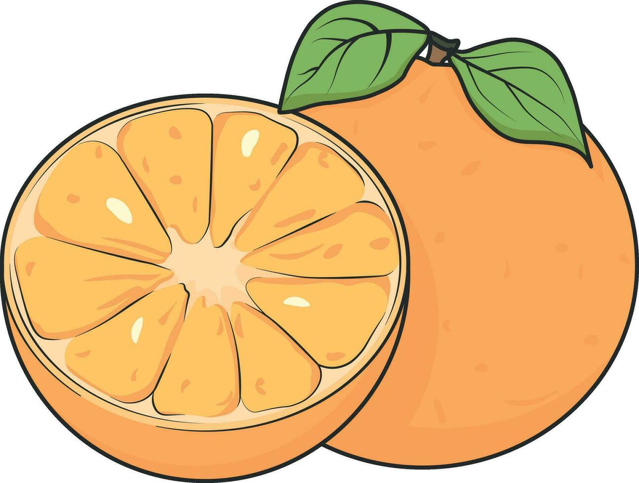 vektor teckning orange eller mandarin utan bakgrund