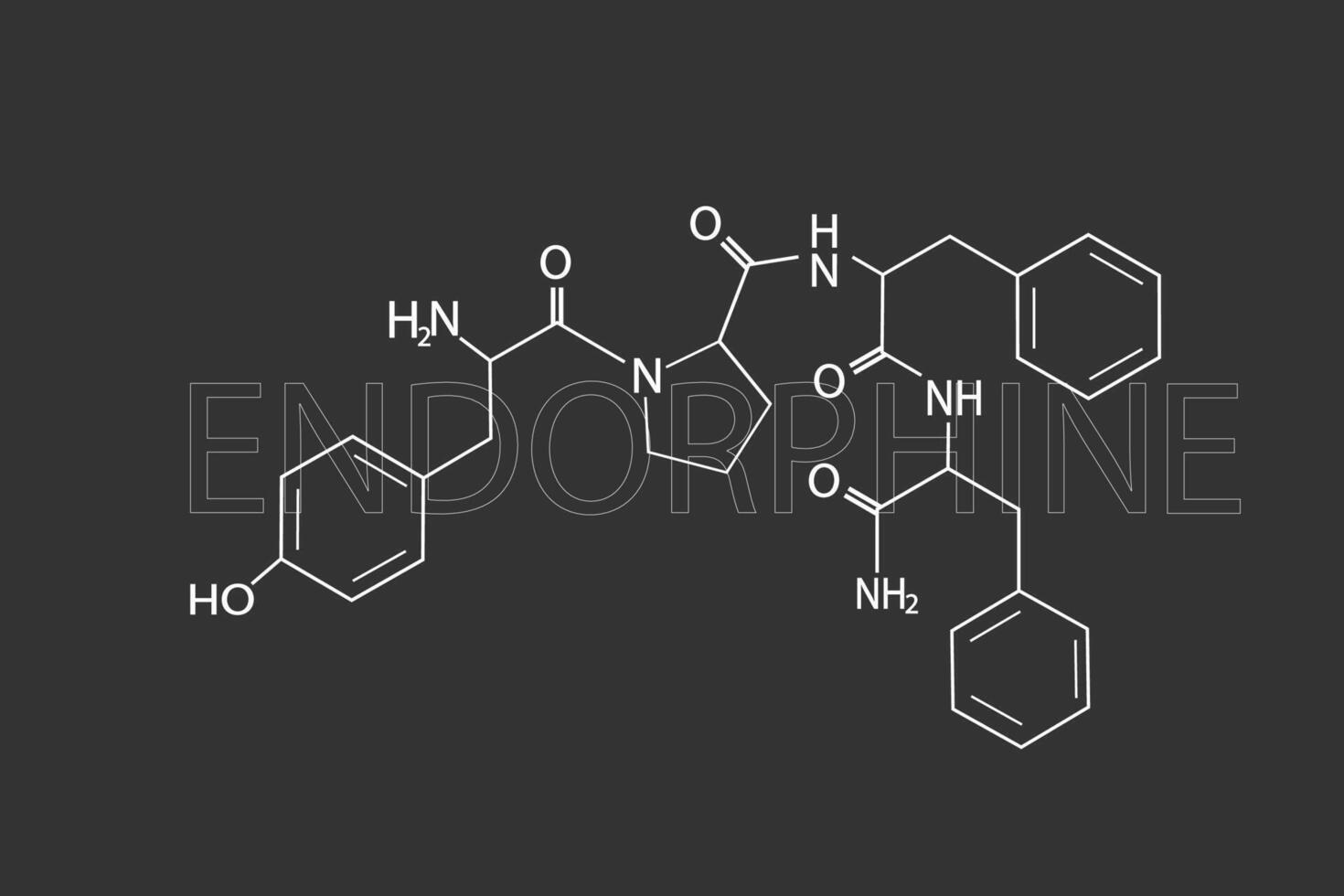 Endorphin molekular Skelett- chemisch Formel vektor