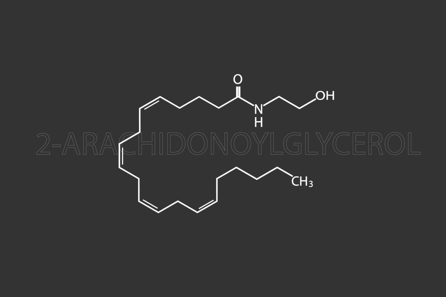 endocannabinoider molekyl skelett- kemisk formel vektor