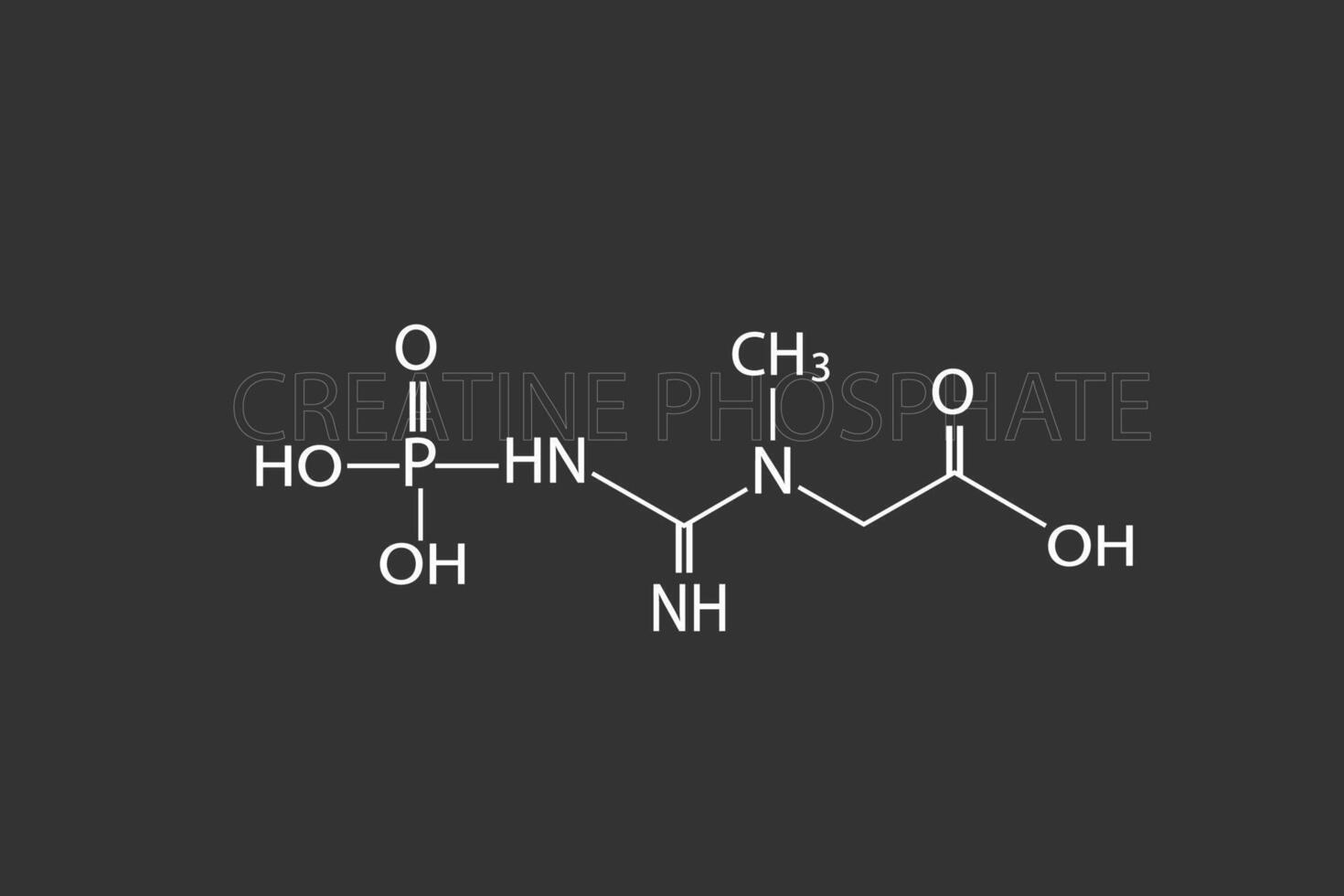 Kreatin Phosphat molekular Skelett- chemisch Formel vektor