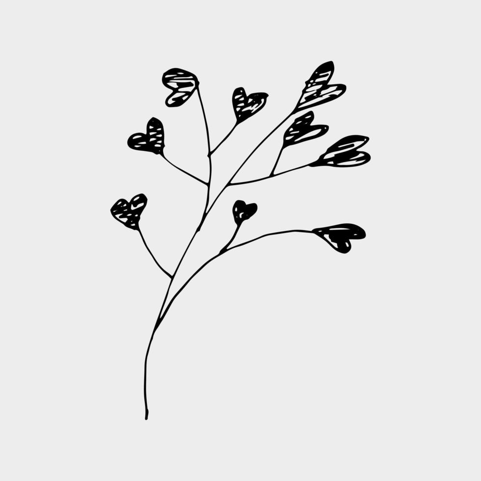 vektor handgezeichnetes gypsophila schwarze tintenfarbe