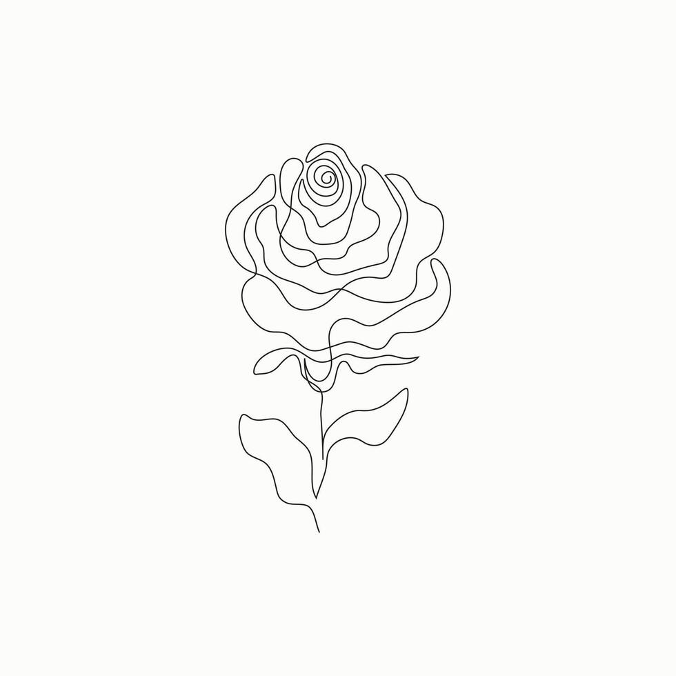 Hand Zeichnung Vektor einer Linie Schlaganfall Pflanze Blätter und Blume. abstrakt Rose auf ein Weiß Hintergrund.