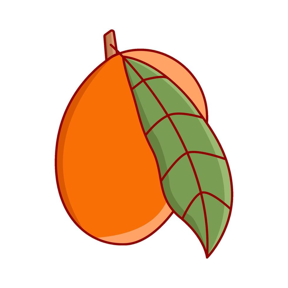 Mango-Frucht-Illustration vektor