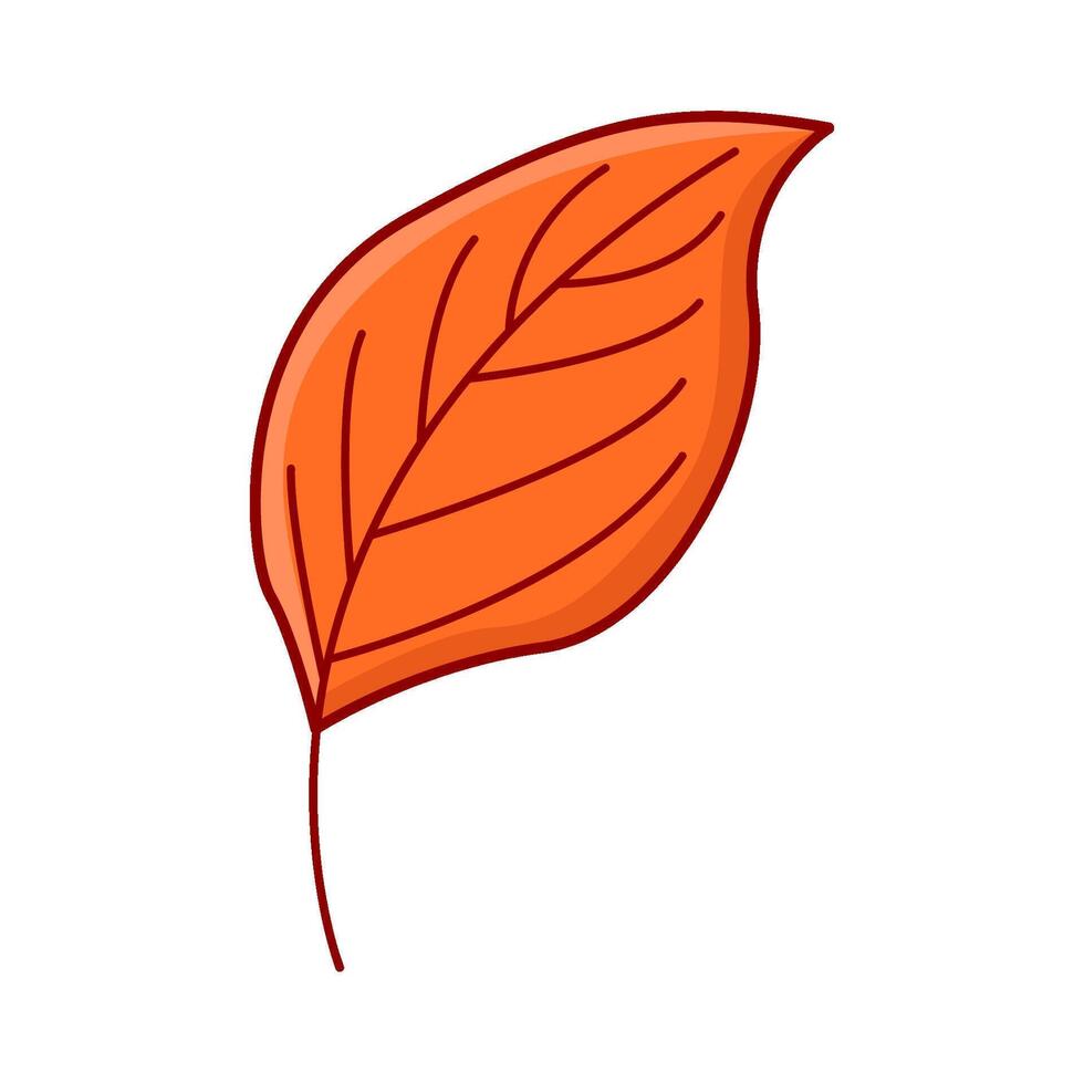 Ahorn Blatt Herbst Illustration vektor