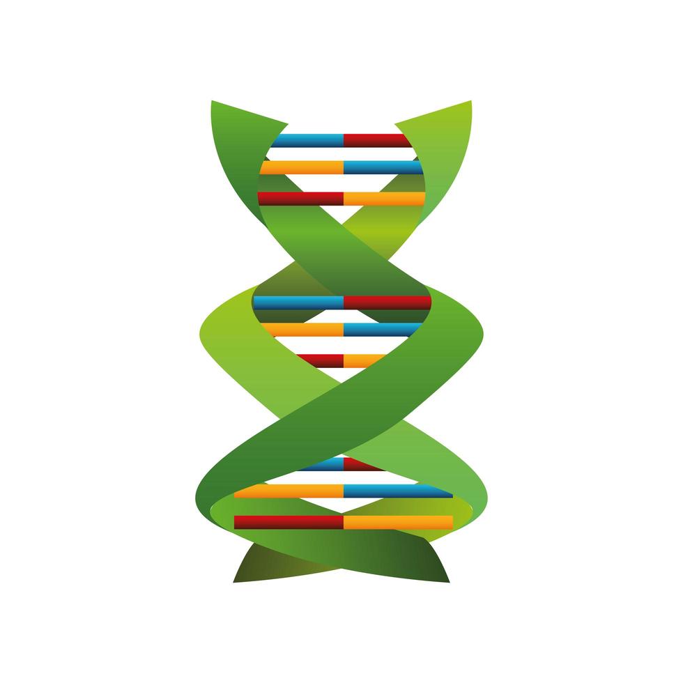 DNA-Molekül-Struktur Verbindungen Medizin genetisch vektor