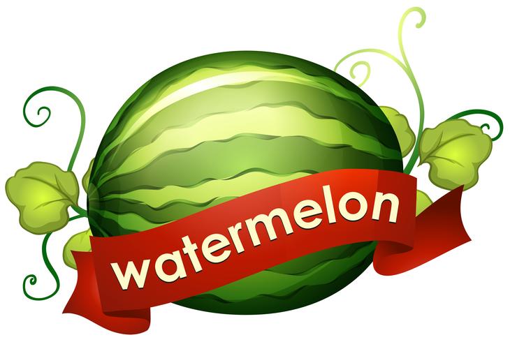 Wassermelone mit roter Fahne vektor